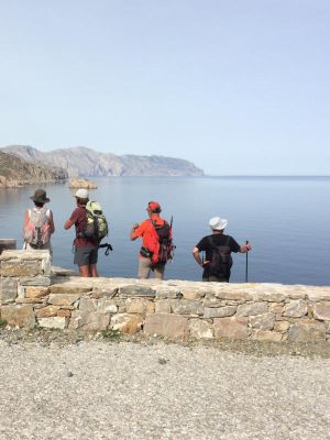 Amorgos daily trips